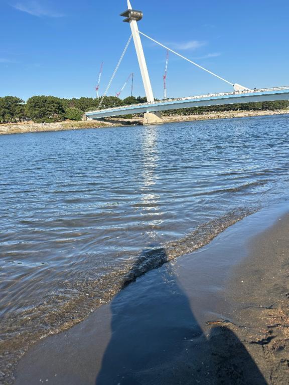 おやすみ中のみはるです｜写メ日記｜みはる｜鶯谷 人妻デリヘル 熟女デリヘル倶楽部