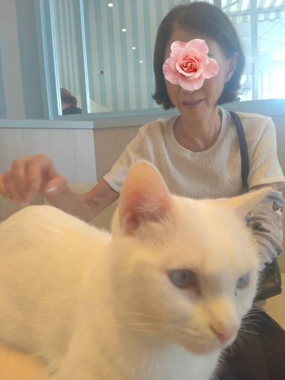 朝から雨ですが｜写メ日記｜ジャスミン｜鶯谷 人妻デリヘル 熟女デリヘル倶楽部