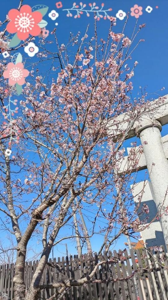 2026｜写メ日記｜純奈｜品川・五反田 人妻デリヘル 昼顔妻 五反田店