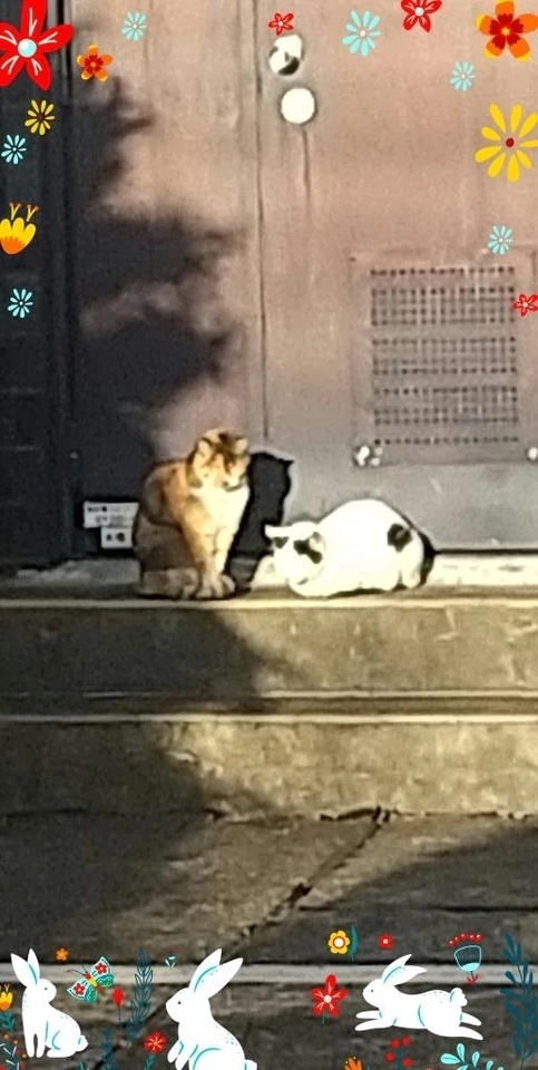 リクエスト予約