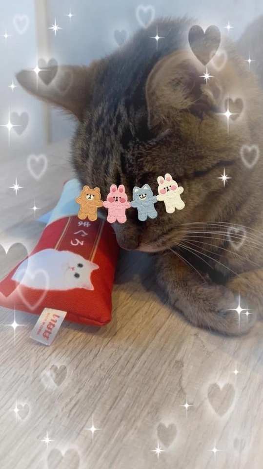 体調次第で...🐈｜写メ日記｜広瀬｜品川・五反田 人妻デリヘル 昼顔妻 五反田店