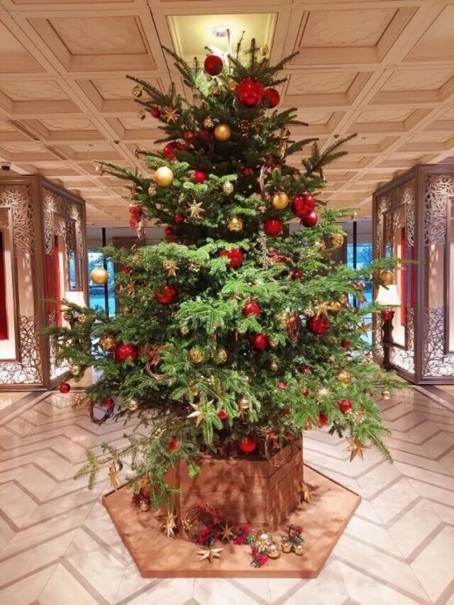 2025年12月🎄｜写メ日記｜麻生｜品川・五反田 人妻デリヘル 昼顔妻 五反田店