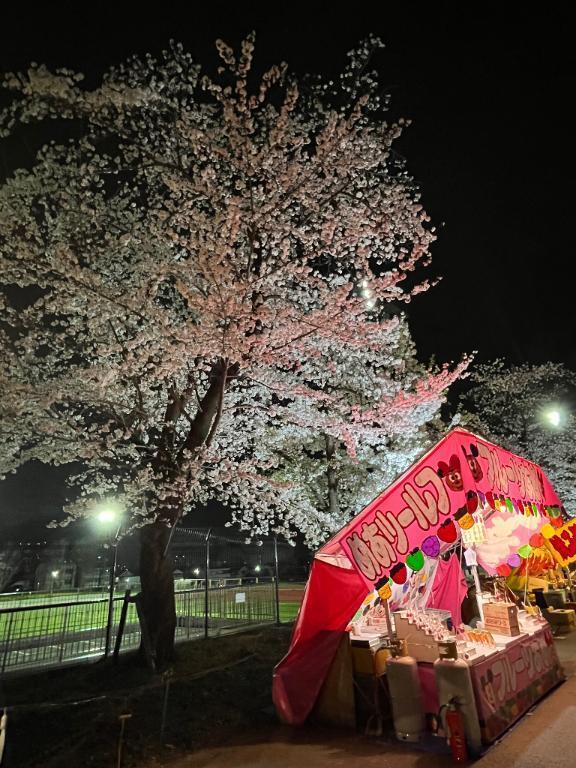 🌸👀｜写メ日記｜萌香｜品川・五反田 人妻デリヘル 昼顔妻 五反田店
