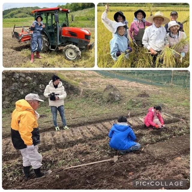 なおみさんロスに｜写メ日記｜小宮｜品川・五反田 人妻デリヘル 昼顔妻 五反田店