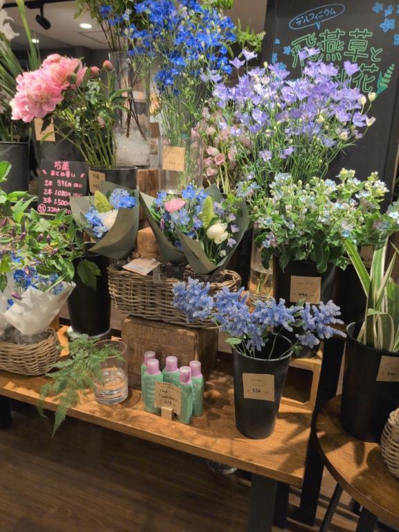 今日は｜写メ日記｜北川｜品川・五反田 人妻デリヘル 昼顔妻 五反田店