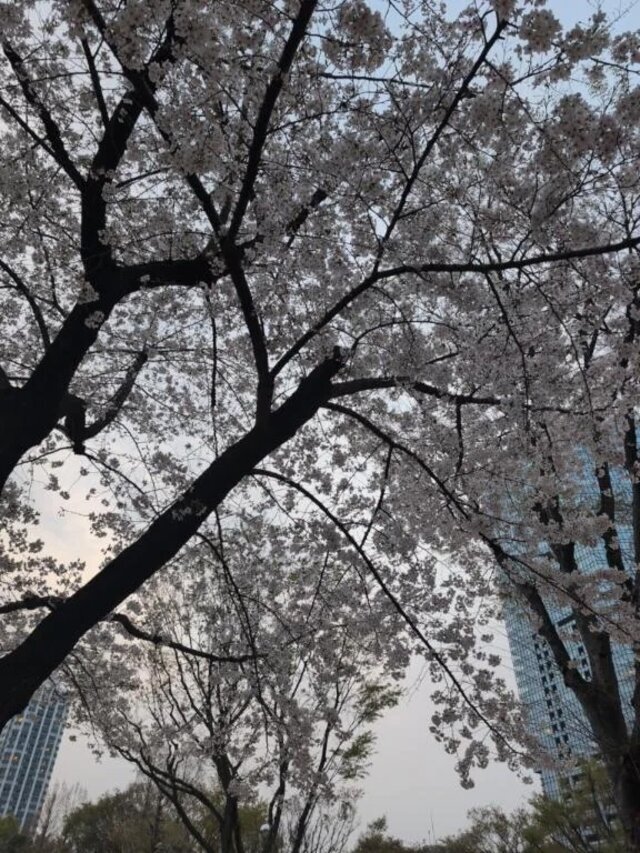 こんにちは｜写メ日記｜北川｜品川・五反田 人妻デリヘル 昼顔妻 五反田店