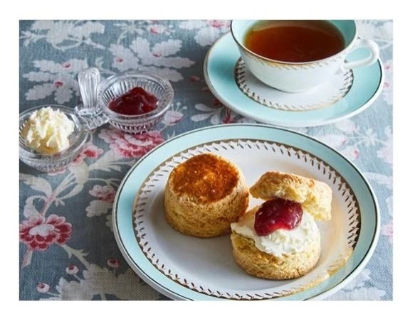 お喋りに花が咲く｜写メ日記｜岸本｜品川・五反田 人妻デリヘル 昼顔妻 五反田店