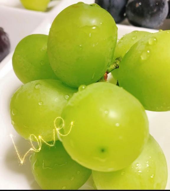 ありがとうございました