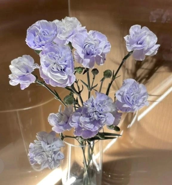 リクエスト♡｜写メ日記｜藤枝｜品川・五反田 人妻デリヘル 昼顔妻 五反田店