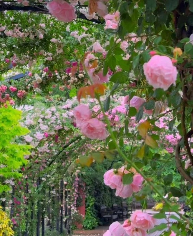 k様へ｜写メ日記｜藤枝｜品川・五反田 人妻デリヘル 昼顔妻 五反田店