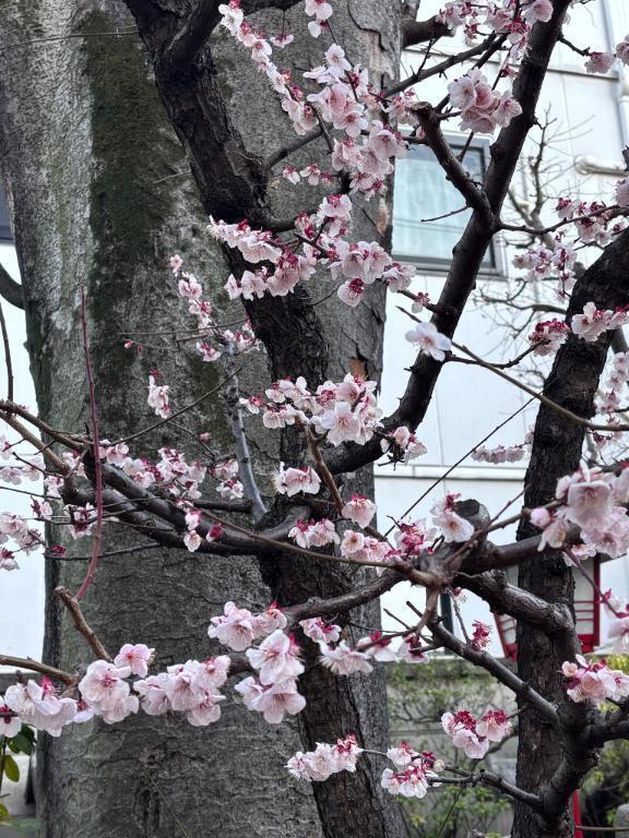 貴重なお時間…｜写メ日記｜双葉｜品川・五反田 人妻デリヘル 昼顔妻 五反田店