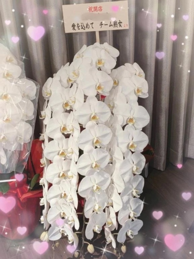 お祝い♪｜写メ日記｜相川｜品川・五反田 人妻デリヘル 昼顔妻 五反田店