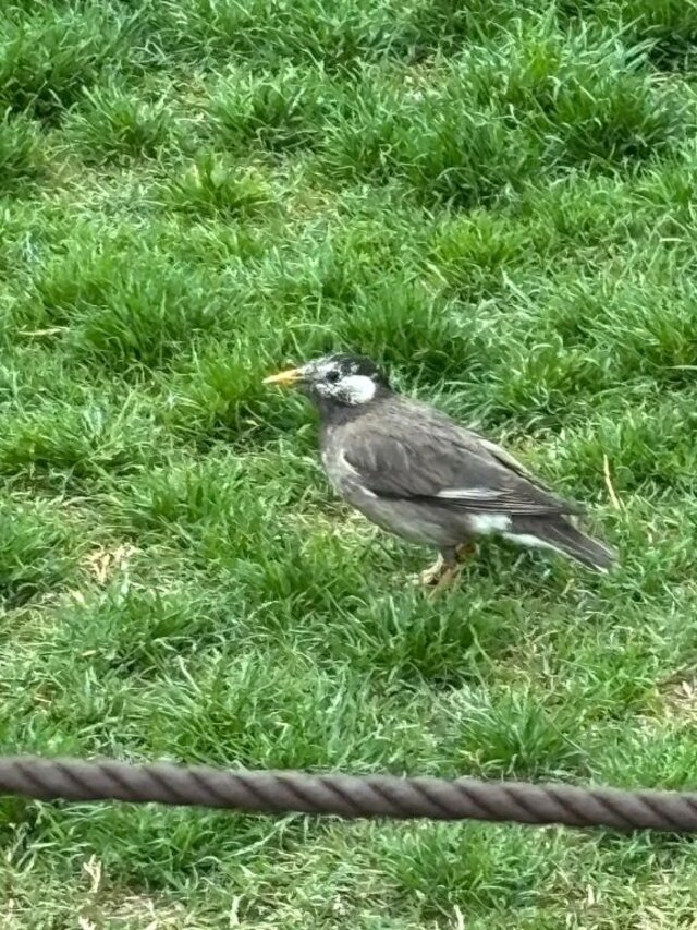 【週末…】｜写メ日記｜琥珀｜品川・五反田 人妻デリヘル 昼顔妻 五反田店
