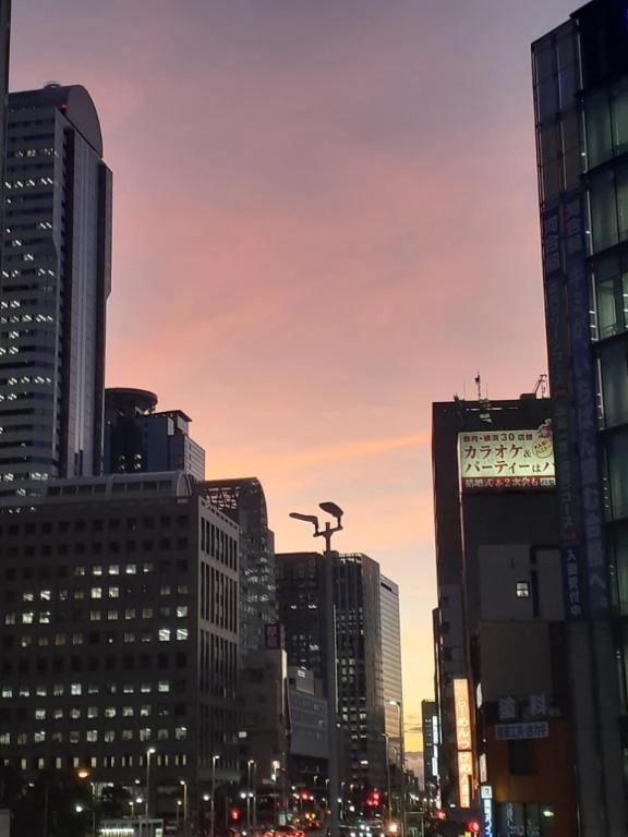 昨日のお礼✨｜写メ日記｜向井｜品川・五反田 人妻デリヘル 昼顔妻 五反田店