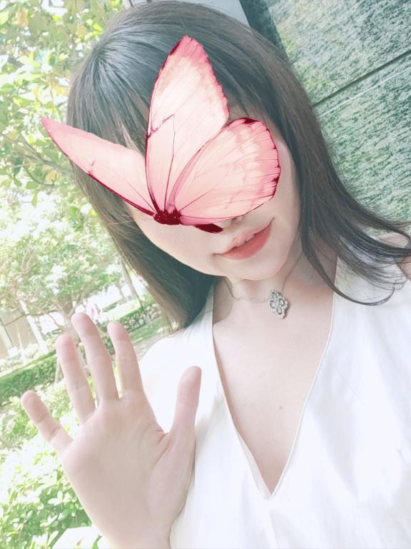 今日はこんな感じで