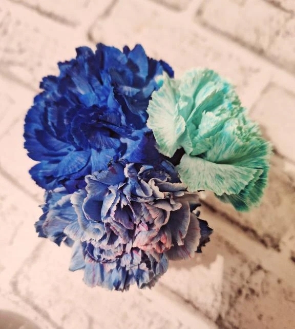 お久しぶりです。｜写メ日記｜夏目｜品川・五反田 人妻デリヘル 昼顔妻 五反田店