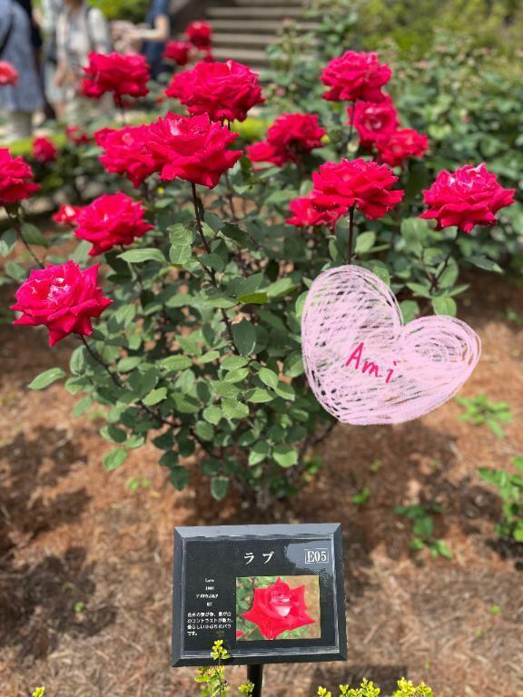 今日はデート❤️をありがとうございました🥰💕｜写メ日記｜愛美｜品川・五反田 人妻デリヘル 昼顔妻 五反田店