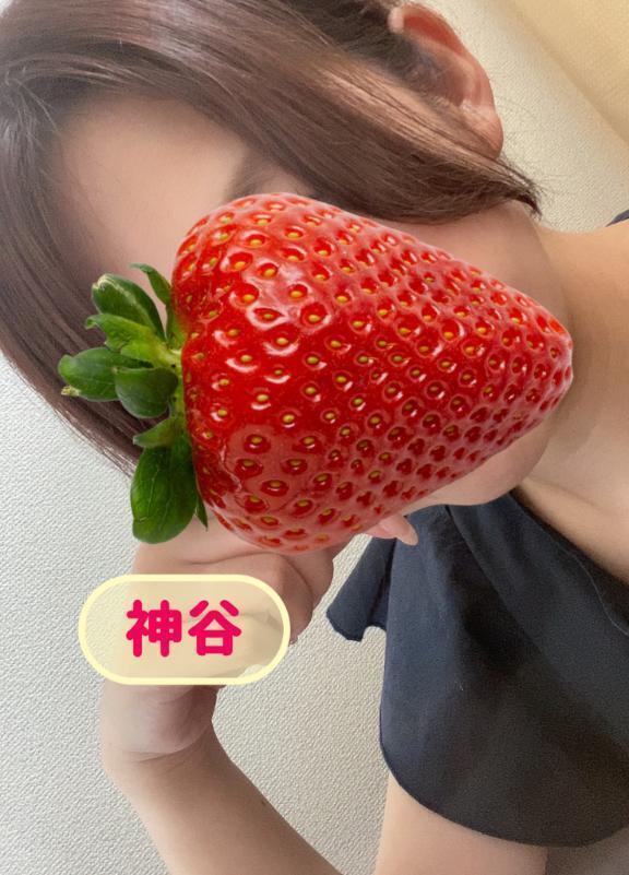 毎日溶けてます、、💕｜写メ日記｜神谷｜品川・五反田 人妻デリヘル 昼顔妻 五反田店