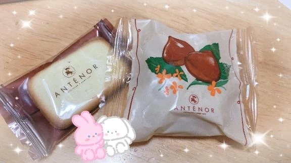 おはようございます｜写メ日記｜椎名｜品川・五反田 人妻デリヘル 昼顔妻 五反田店