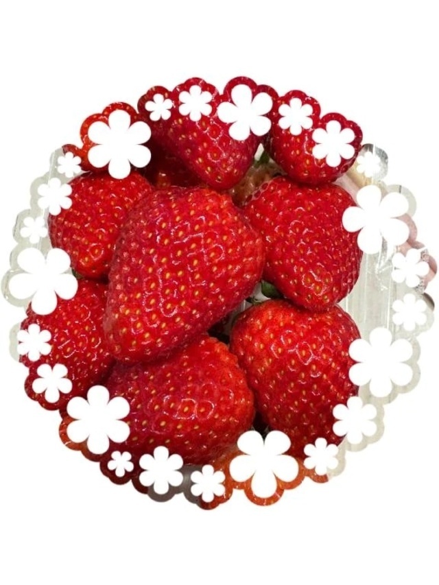 2026も仲良くしてね🩷｜写メ日記｜涼子｜品川・五反田 人妻デリヘル 昼顔妻 五反田店