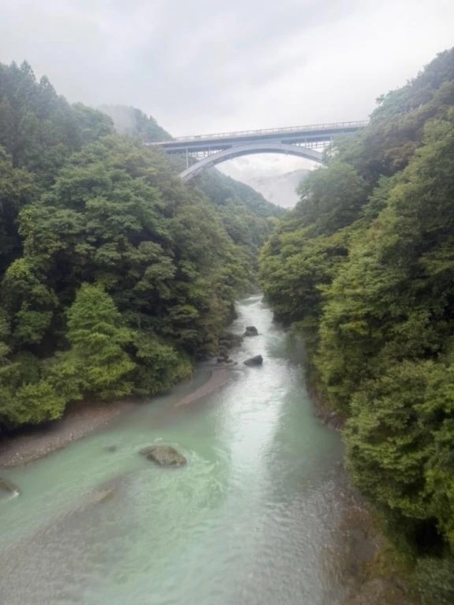 こんばんは｜写メ日記｜涼子｜品川・五反田 人妻デリヘル 昼顔妻 五反田店