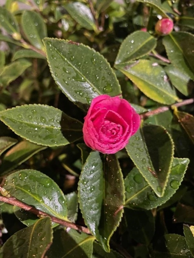 ご予約有難う御座います｜写メ日記｜岡崎｜品川・五反田 人妻デリヘル 昼顔妻 五反田店