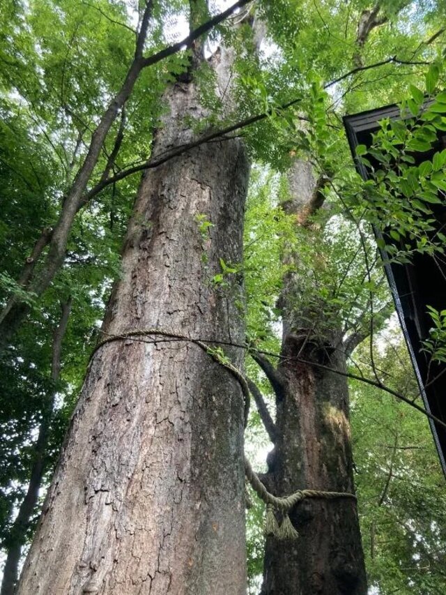 ごめんなさい｜写メ日記｜名取｜品川・五反田 人妻デリヘル 昼顔妻 五反田店