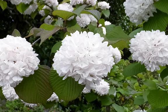 しとしと☔️｜写メ日記｜片桐｜品川・五反田 人妻デリヘル 昼顔妻 五反田店
