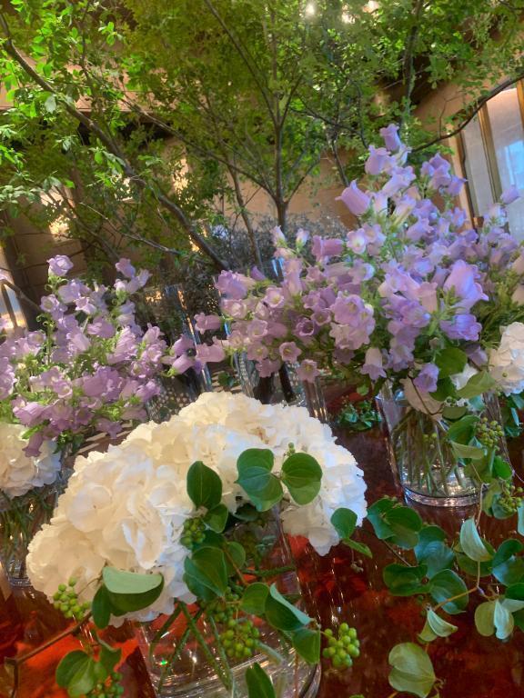 元気になりました☀️｜写メ日記｜三井｜品川・五反田 人妻デリヘル 昼顔妻 五反田店