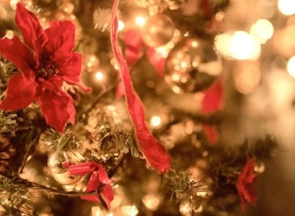 こんばんは🩷｜写メ日記｜明里｜品川・五反田 人妻デリヘル 昼顔妻 五反田店