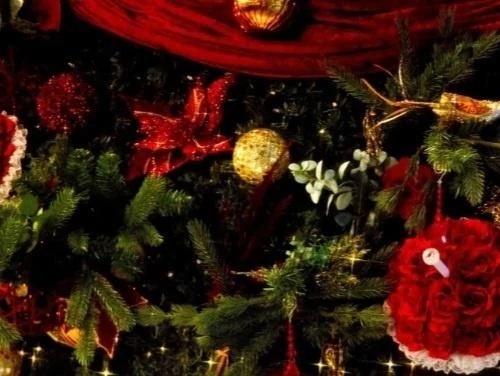 こんばんは(^ ^)｜写メ日記｜明里｜品川・五反田 人妻デリヘル 昼顔妻 五反田店