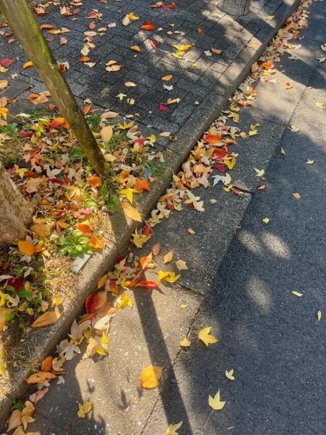紅葉♡｜写メ日記｜宮下｜品川・五反田 人妻デリヘル 昼顔妻 五反田店