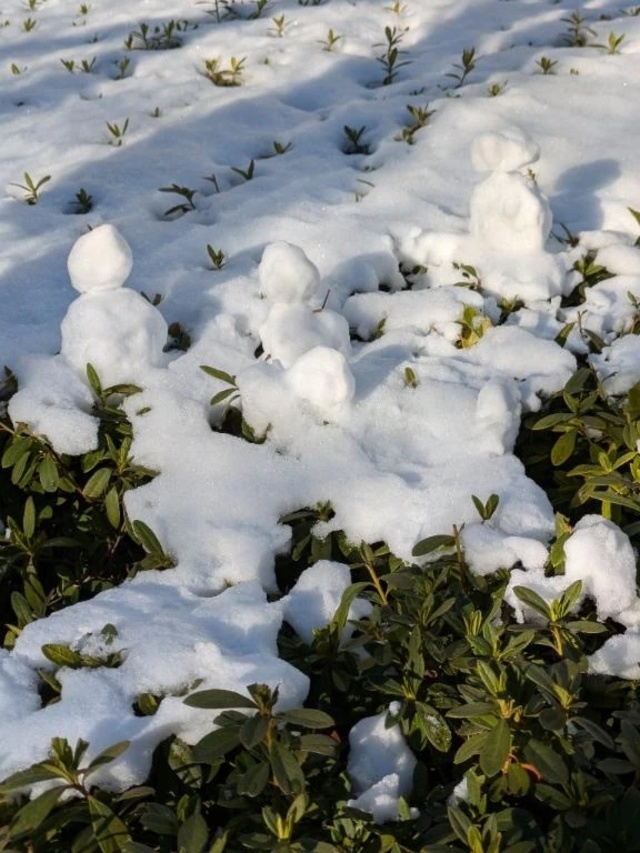 暖かい☀｜写メ日記｜千里｜品川・五反田 人妻デリヘル 昼顔妻 五反田店