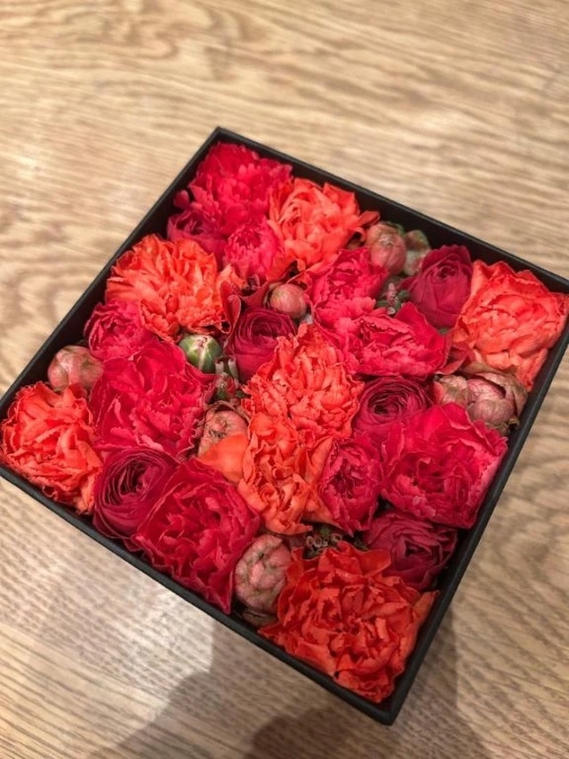 冬\(//∇//)\まいにちに｜写メ日記｜琴乃｜品川・五反田 人妻デリヘル 昼顔妻 五反田店