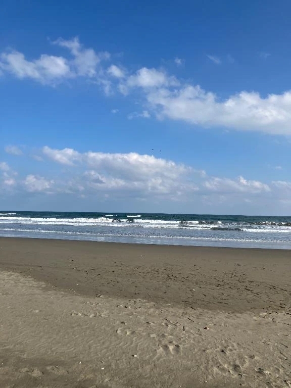 秋晴れ🤗｜写メ日記｜仁美｜品川・五反田 人妻デリヘル 昼顔妻 五反田店