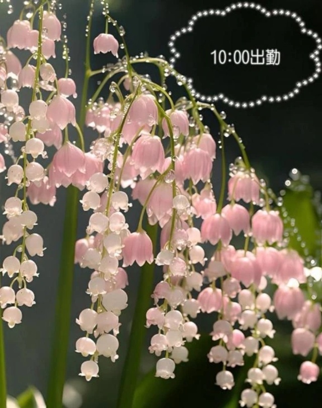 おはようございます｜写メ日記｜高瀬｜品川・五反田 人妻デリヘル 昼顔妻 五反田店