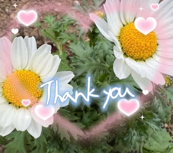 HillsHotelにて❤️｜写メ日記｜高瀬｜品川・五反田 人妻デリヘル 昼顔妻 五反田店