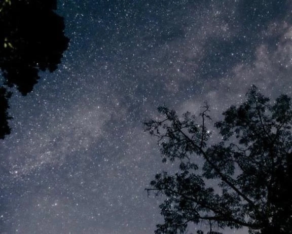 悲しかったこと