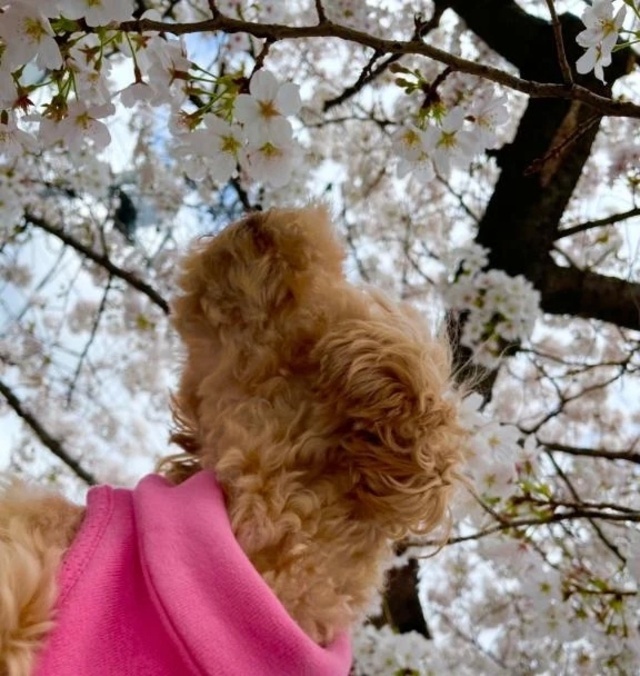 こんにちは⛅️｜写メ日記｜吹石｜品川・五反田 人妻デリヘル 昼顔妻 五反田店