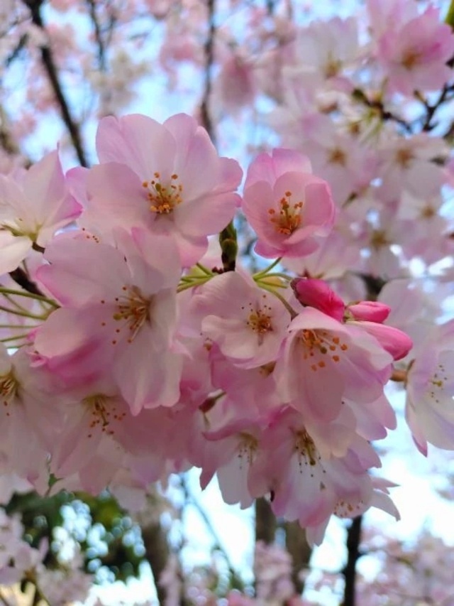 ありがとうございました♡｜写メ日記｜内海｜品川・五反田 人妻デリヘル 昼顔妻 五反田店
