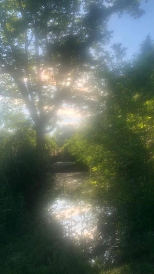 穏やかな光の中で