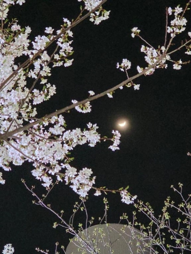 今日会えますか？｜写メ日記｜蓮見｜品川・五反田 人妻デリヘル 昼顔妻 五反田店
