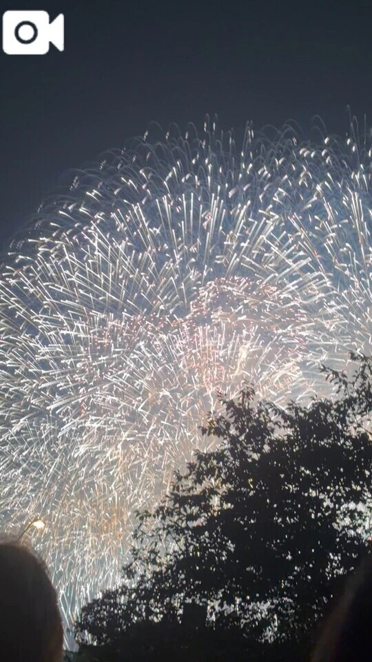 みなとみらいの花火大会🎆｜写メ日記｜新庄｜品川・五反田 人妻デリヘル 昼顔妻 五反田店