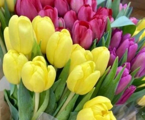 久実です｜写メ日記｜久実｜品川・五反田 人妻デリヘル 昼顔妻 五反田店