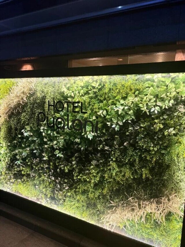 お礼♡14日五反田Ｓ様♡｜写メ日記｜四葉｜品川・五反田 人妻デリヘル 昼顔妻 五反田店