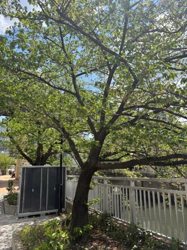 お礼♡16日五反田Ｙ様♡｜写メ日記｜四葉｜品川・五反田 人妻デリヘル 昼顔妻 五反田店