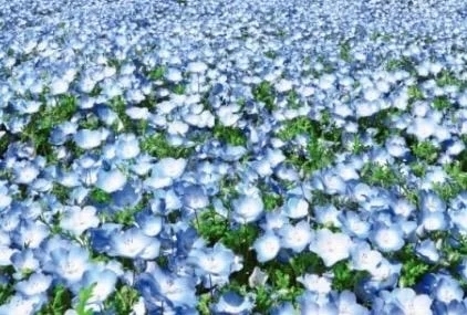たのしみ🥹｜写メ日記｜志穂｜品川・五反田 人妻デリヘル 昼顔妻 五反田店