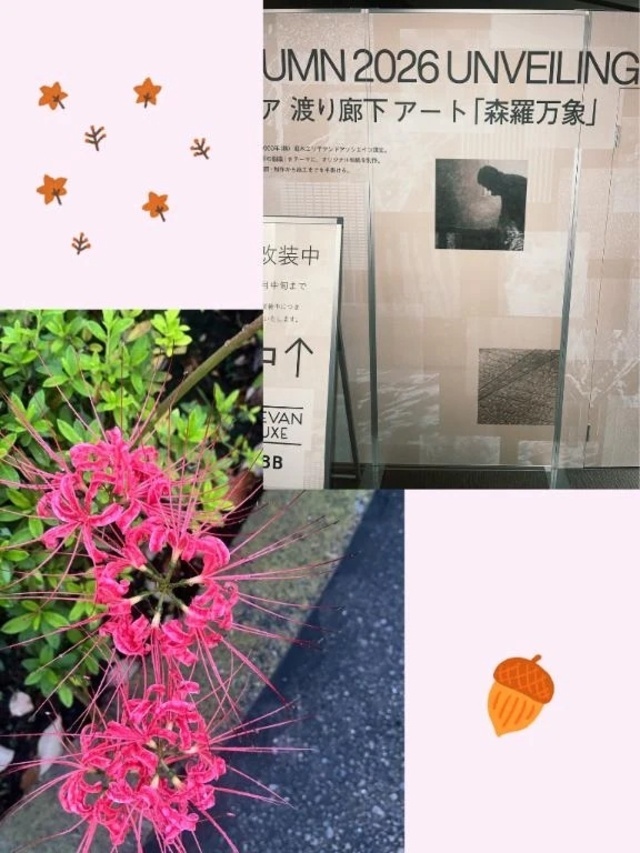 急に秋🐇｜写メ日記｜未央｜品川・五反田 人妻デリヘル 昼顔妻 五反田店