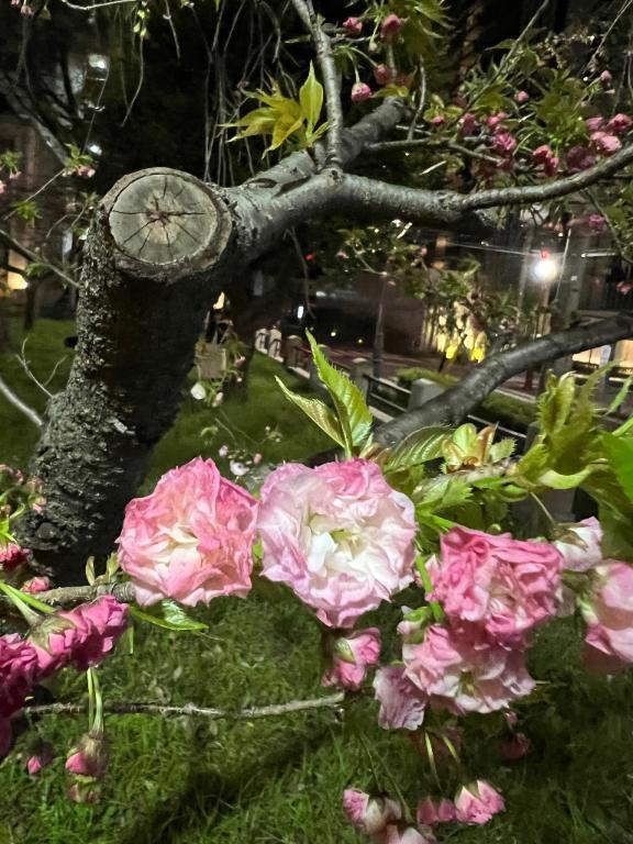 お礼✨｜写メ日記｜りんね｜鶯谷 人妻デリヘル 奥様特急 上野・鶯谷店