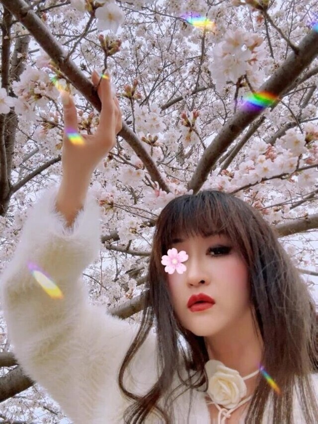 去年の桜♪｜写メ日記｜ゆきね｜池袋 人妻デリヘル 熟女の風俗最終章池袋店